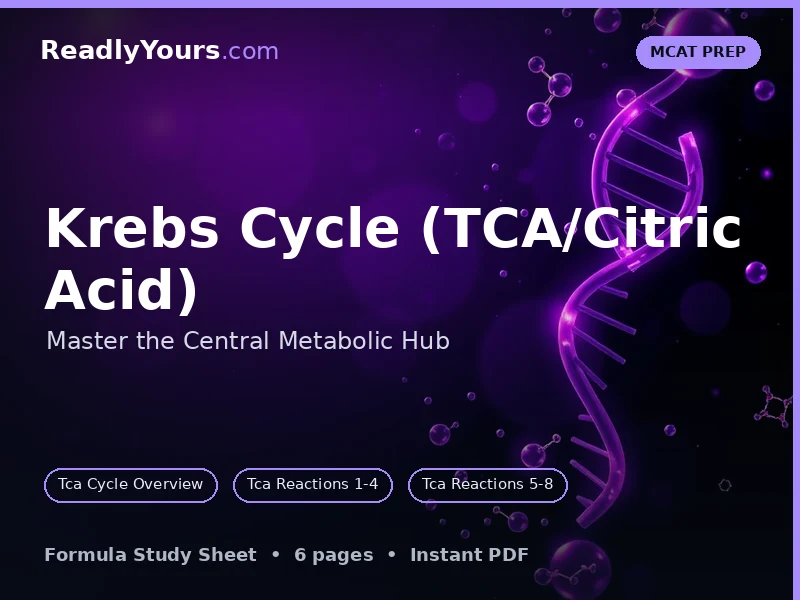 Krebs Cycle (TCA)